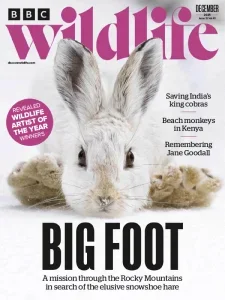 BBC Wildlife Magazine – December 2025 Download Magazine PDF