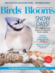 birds blooms 12 01 2026 freemagazines.top