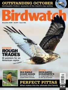 Birdwatch UK – December 2025 Download Magazine PDF