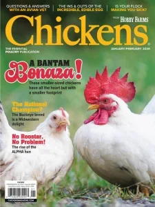 Chickens – January/February 2026 Download Magazine PDF
