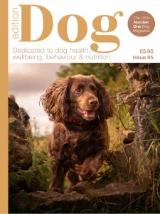 edition dog i85 2025 freemagazines.top