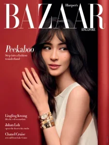 harpers bazaar sg 11 2025 freemagazines.top