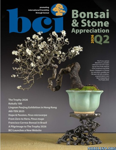 bci bonsai amp stone appreciation magazine 8211 q2 2026