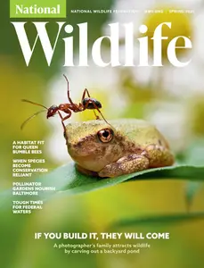 National Wildlife Spring 2026