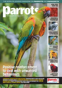 parrots magazine 8211 april 2026