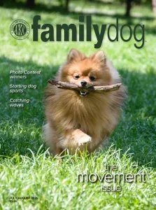 Akc family dog 07 08 2026 freemagazines.top