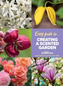 Amateur gardening easy guide creating a scented garden i14 2026 freemagazines.top