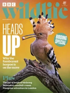 Bbc wildlife 07 2026 freemagazines.top