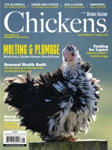 Chickens 09 10 2026 freemagazines.top
