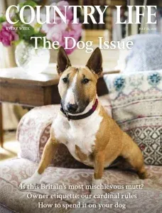 Country life uk 07 22 2026 freemagazines.top