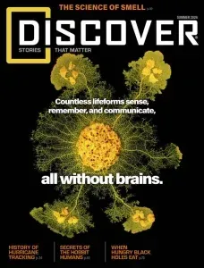Discover summer 2026 freemagazines.top