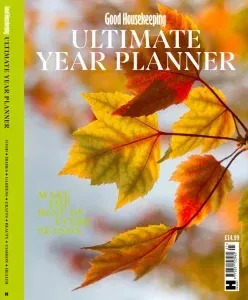Good housekeeping ultimate year planner 2026 freemagazines.top