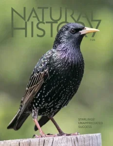 Natural history 07 2026 freemagazines.top