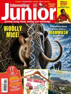 Very interesting junior i71 2026 freemagazines.top