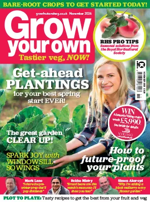 Quilt Patterns Development Grow Your Own – November 2026 | Magazine PDF